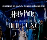 Baile Tribruxo do Harry Potter Baile Tribruxo do Harry Potter São Paulo
